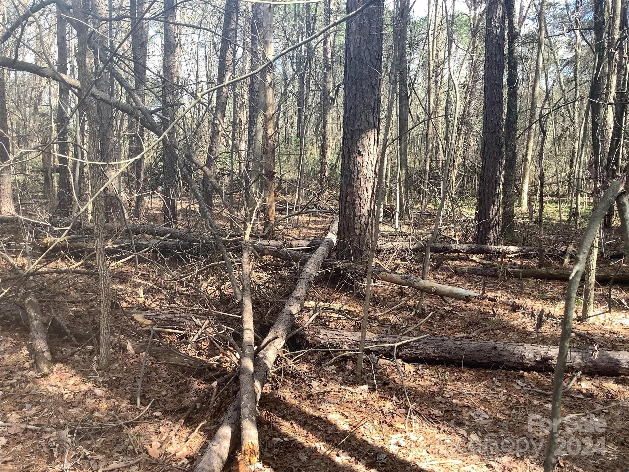 0 Hephzibah Church Road, Unit 1 Cherryville, NC 28021 - Photo 28 of 28 Gallery Image 28