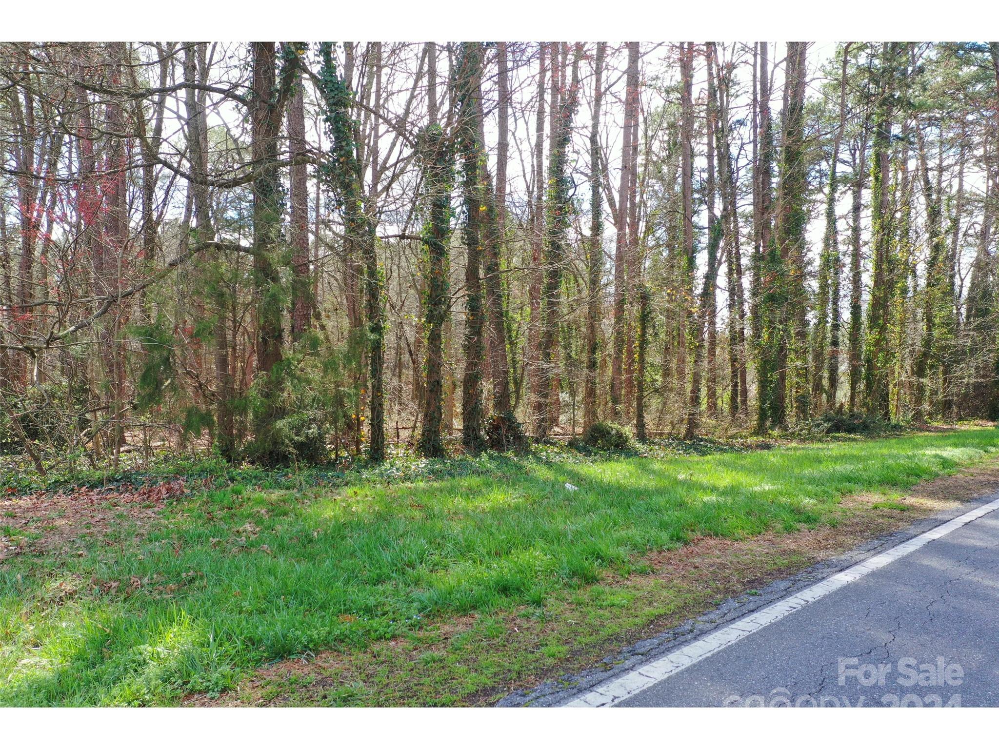 0 Hephzibah Church Road, Unit 1 Cherryville, NC 28021 - Photo 10 of 28 Gallery Image 10