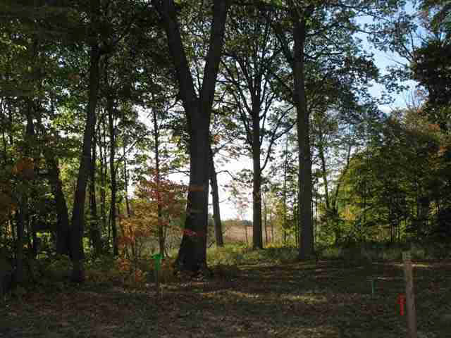 2271 Highlander Drive Warsaw, IN 46580 - Photo 8 of 36