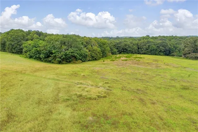 a view of a lake and green space