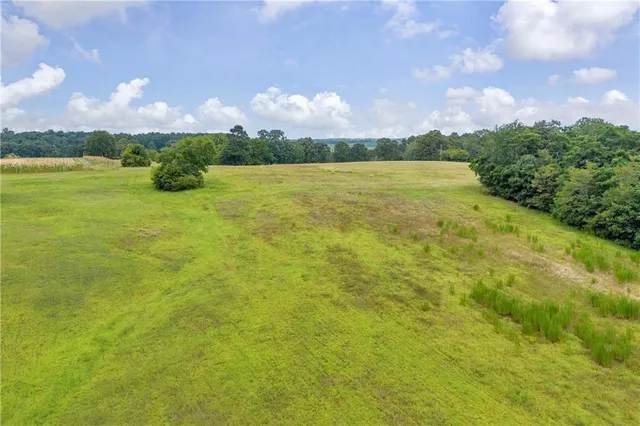 a view of outdoor space with signage and flags