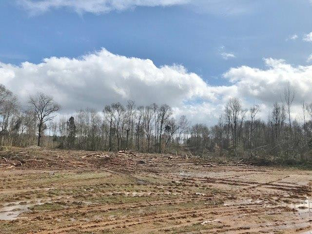 0 Hartwell Road Summit, MS 39666 - Photo 1 of 32 Main View