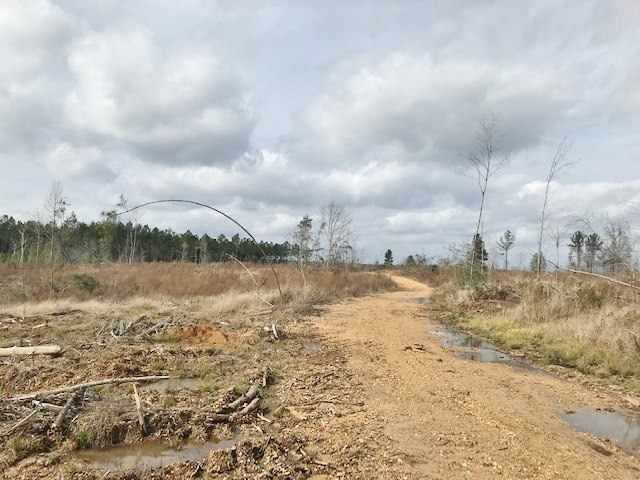 0 Hartwell Road Summit, MS 39666 - Photo 12 of 32 Photo 12