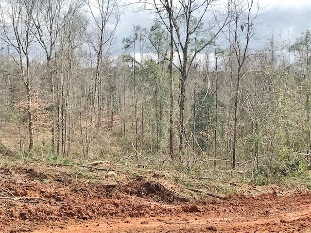 0 Hartwell Road Summit, MS 39666 - Photo 13 of 32 Photo 13