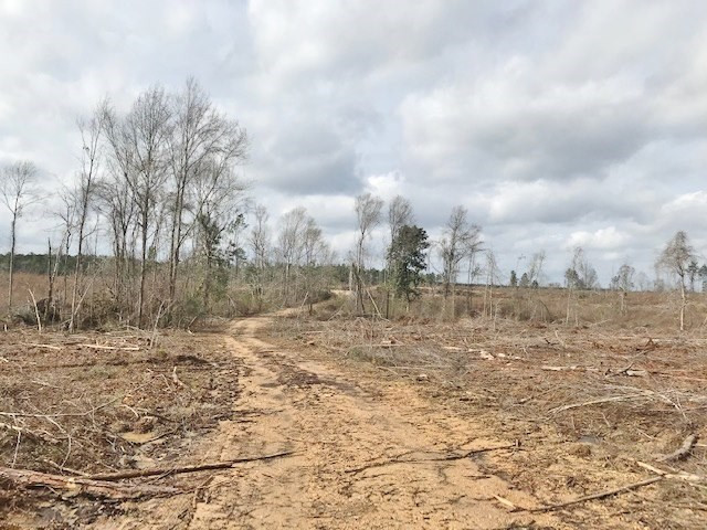 0 Hartwell Road Summit, MS 39666 - Photo 14 of 32 Photo 14