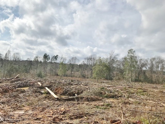 0 Hartwell Road Summit, MS 39666 - Photo 15 of 32 Photo 15