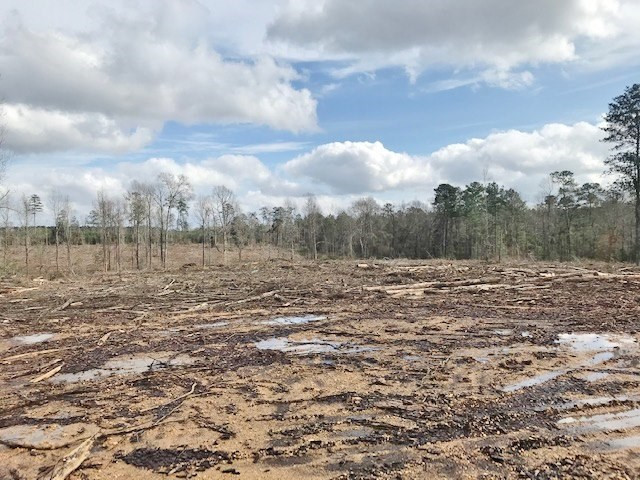 0 Hartwell Road Summit, MS 39666 - Photo 16 of 32 Photo 16