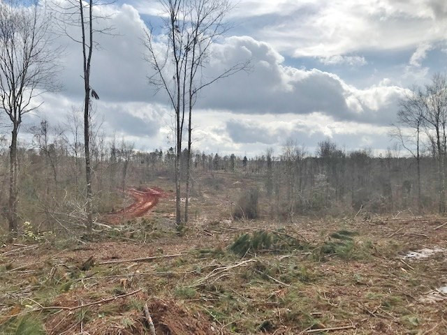 0 Hartwell Road Summit, MS 39666 - Photo 17 of 32 Photo 17