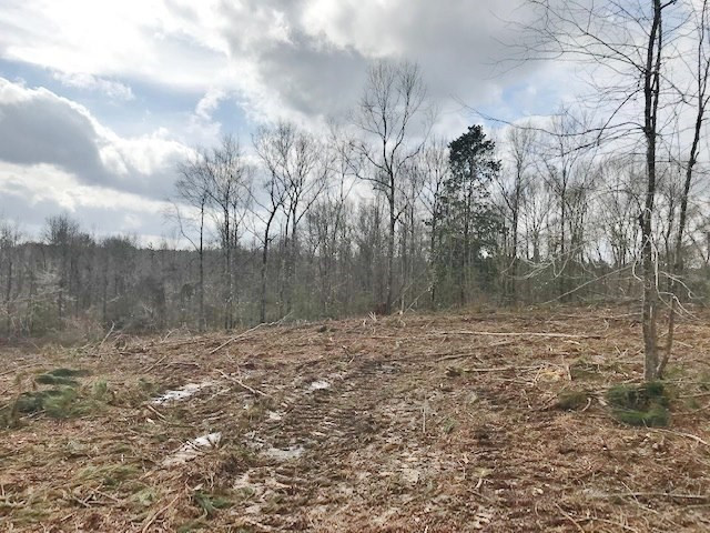 0 Hartwell Road Summit, MS 39666 - Photo 18 of 32 Photo 18