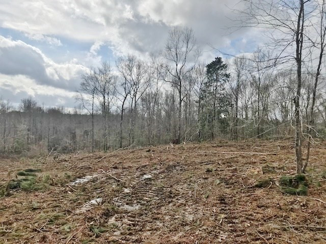 0 Hartwell Road Summit, MS 39666 - Photo 19 of 32 Photo 19