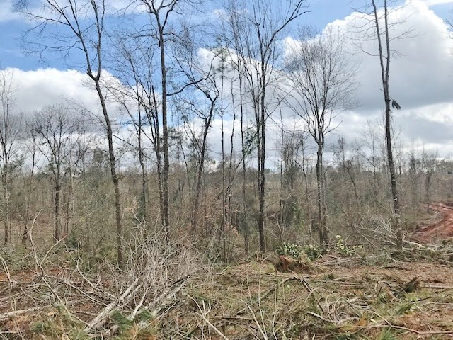 0 Hartwell Road Summit, MS 39666 - Photo 20 of 32 Photo 20