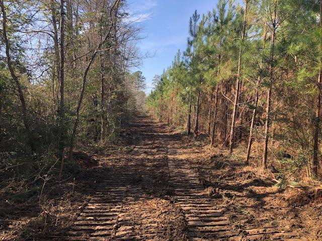 0 Hartwell Road Summit, MS 39666 - Photo 2 of 32 Photo 2
