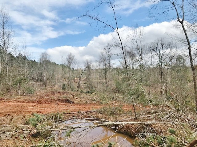 0 Hartwell Road Summit, MS 39666 - Photo 21 of 32 Photo 21