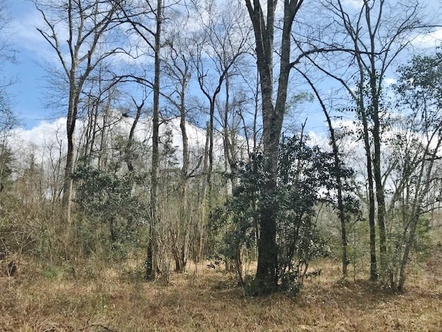 0 Hartwell Road Summit, MS 39666 - Photo 22 of 32 Photo 22