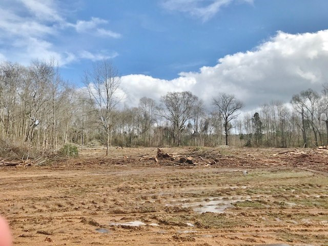 0 Hartwell Road Summit, MS 39666 - Photo 23 of 32 Photo 23