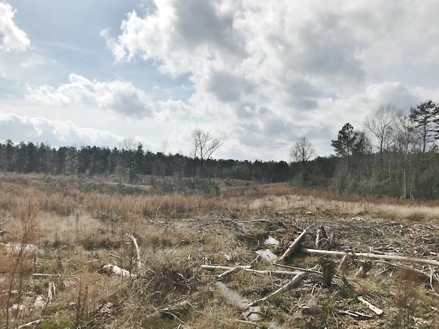 0 Hartwell Road Summit, MS 39666 - Photo 25 of 32 Photo 25