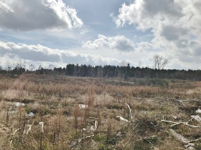 0 Hartwell Road Summit, MS 39666 - Photo 26 of 32 Photo 26