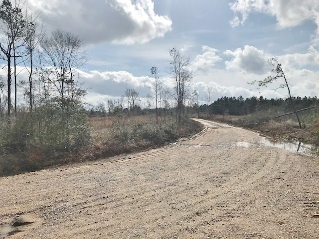 0 Hartwell Road Summit, MS 39666 - Photo 27 of 32 Photo 27