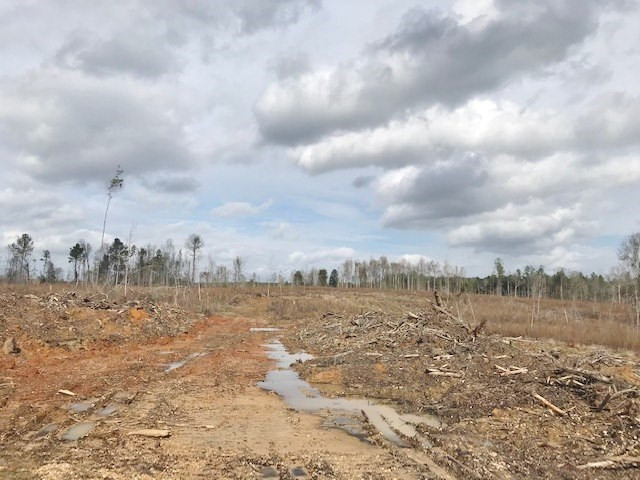 0 Hartwell Road Summit, MS 39666 - Photo 28 of 32 Photo 28