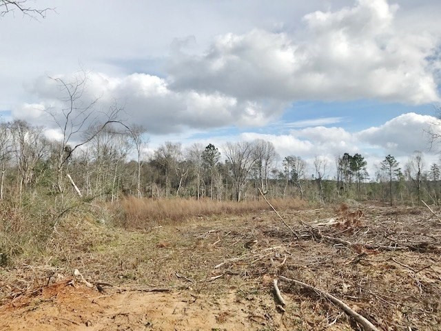 0 Hartwell Road Summit, MS 39666 - Photo 29 of 32 Photo 29