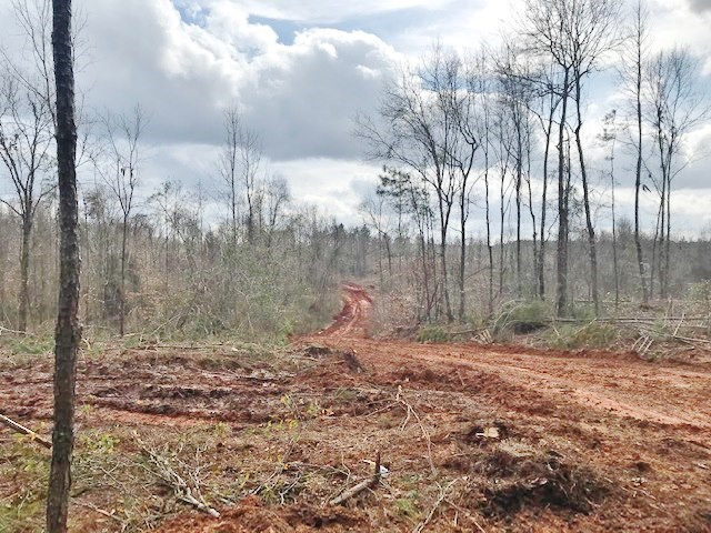 0 Hartwell Road Summit, MS 39666 - Photo 3 of 32 Photo 3