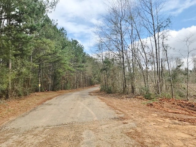 0 Hartwell Road Summit, MS 39666 - Photo 6 of 32 Photo 6