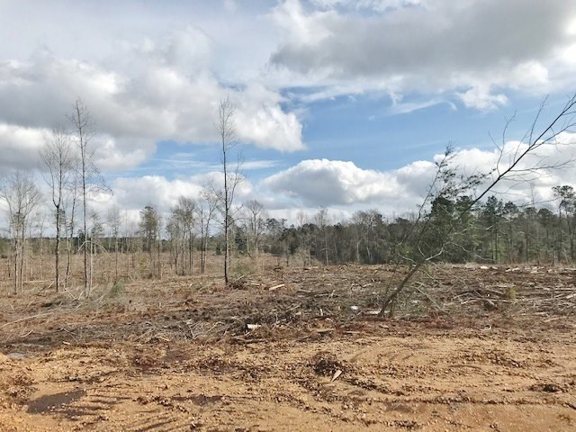 0 Hartwell Road Summit, MS 39666 - Photo 8 of 32 Photo 8