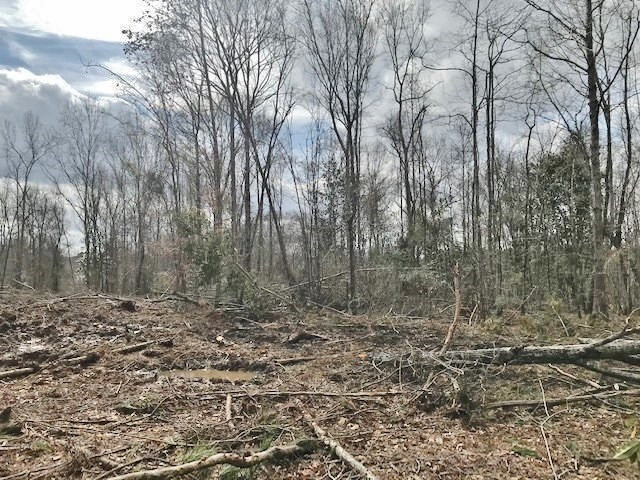 0 Hartwell Road Summit, MS 39666 - Photo 9 of 32 Photo 9