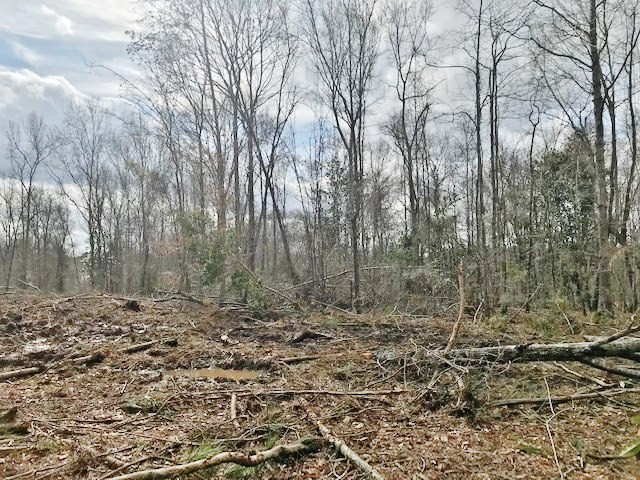 0 Hartwell Road Summit, MS 39666 - Photo 10 of 32 Photo 10