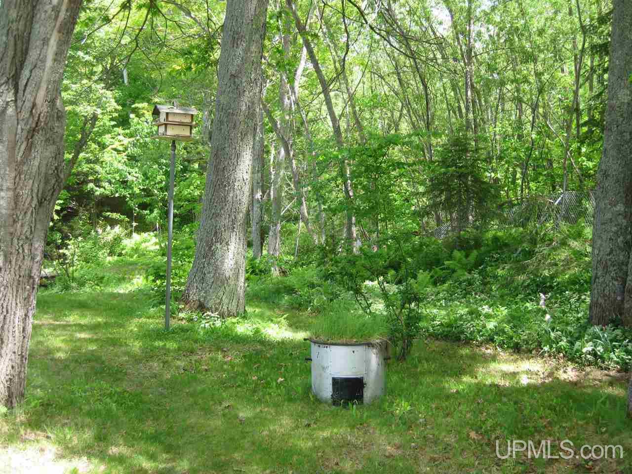 44875 Bootjack Road Lake Linden, MI 49945 - Photo 13 of 36