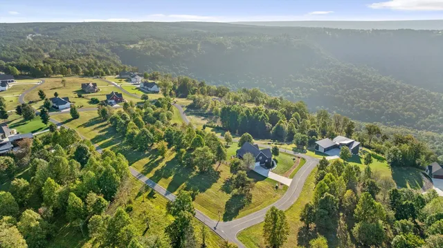 a view of a lake from a yard