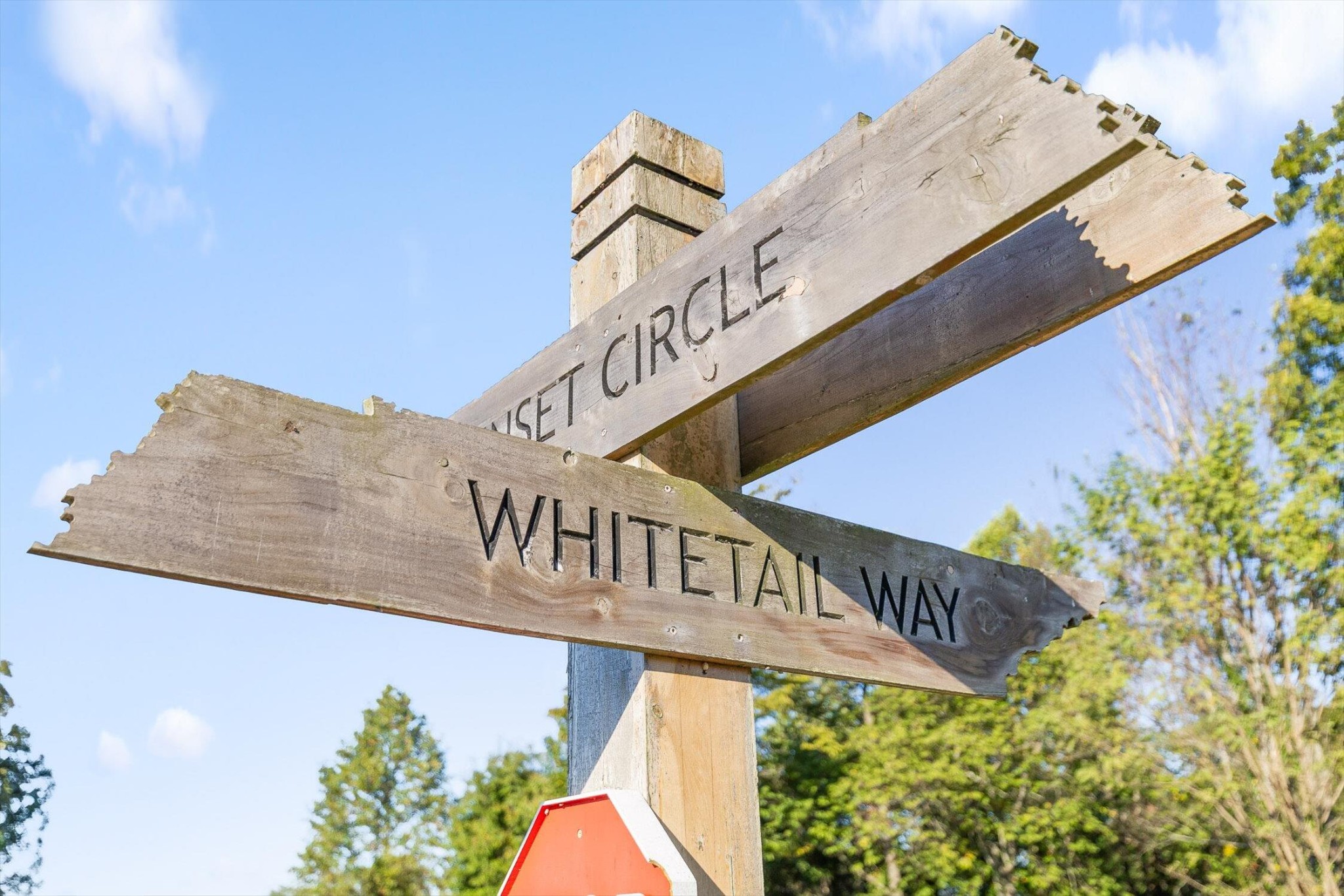 0 Whitetail Way Jasper, TN 37347 - Photo 5 of 25 a street sign that is on a pole
