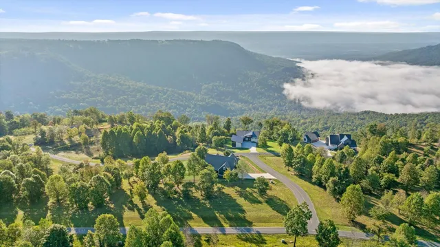 a view of outdoor space yard and mountain view