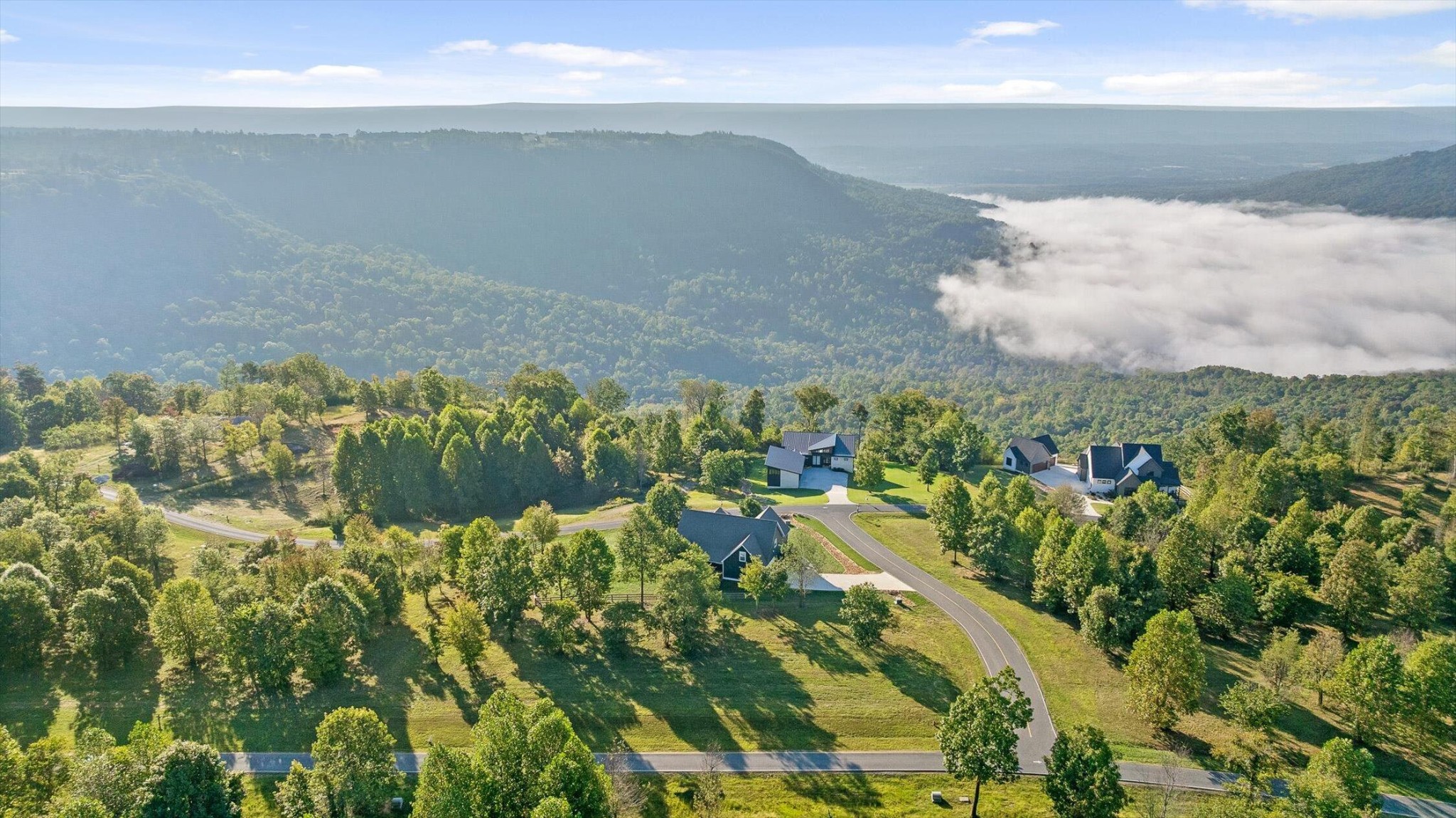 0 Whitetail Way Jasper, TN 37347 - Photo 6 of 25 a view of a lake in a forest