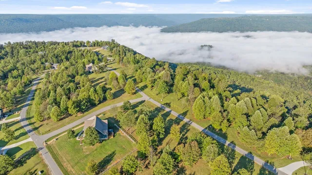 a view of a lake with a mountain
