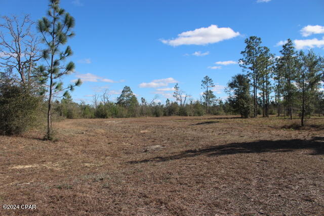 5015 Northwest County Road 274 Altha, FL 32421 - Photo 3 of 15