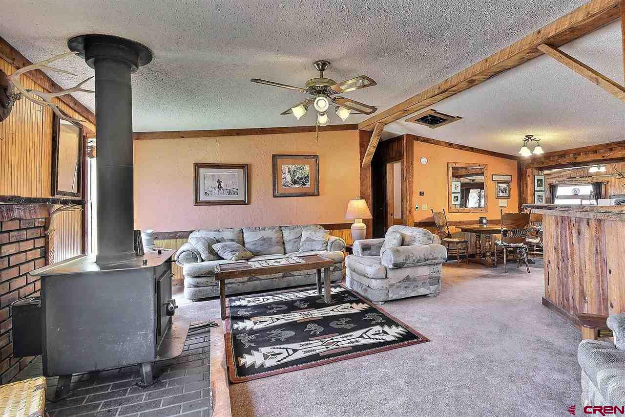 22209 Hamilton Road Eckert, CO 81418 - Photo 5 of 32