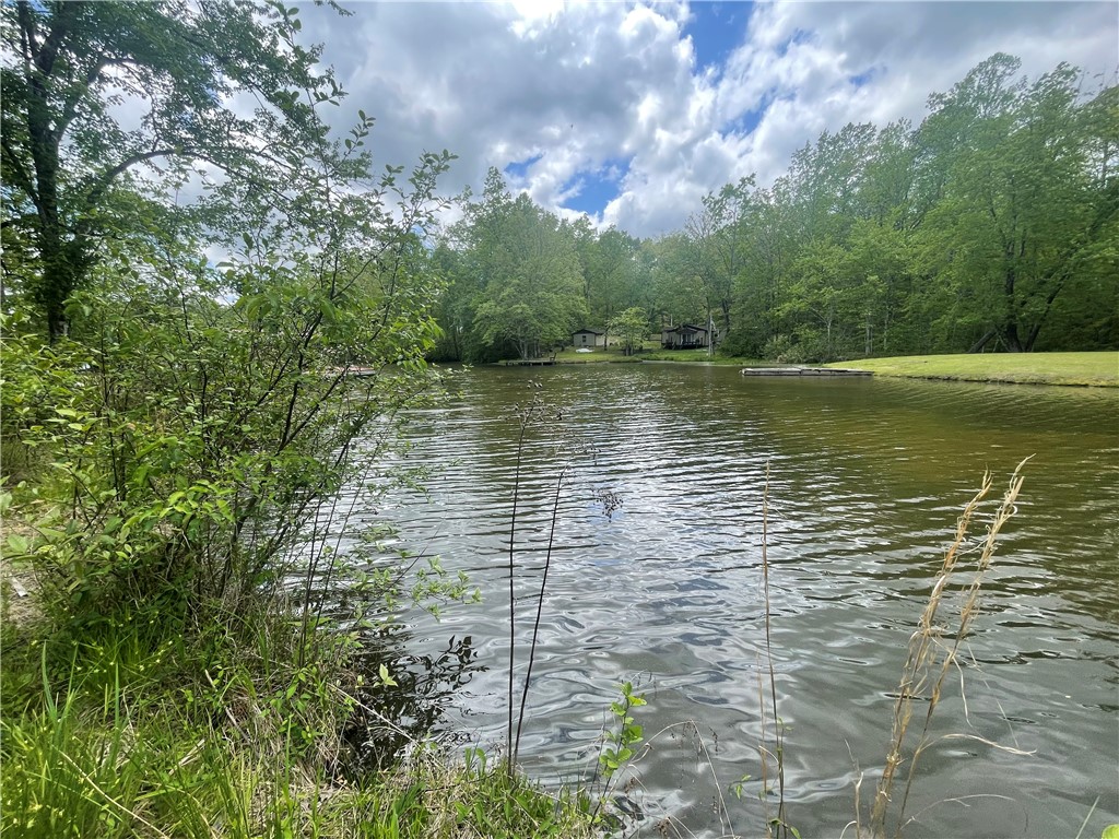 31 A Bonner Road Mountain Rest, SC 29664 - Photo 13 of 28