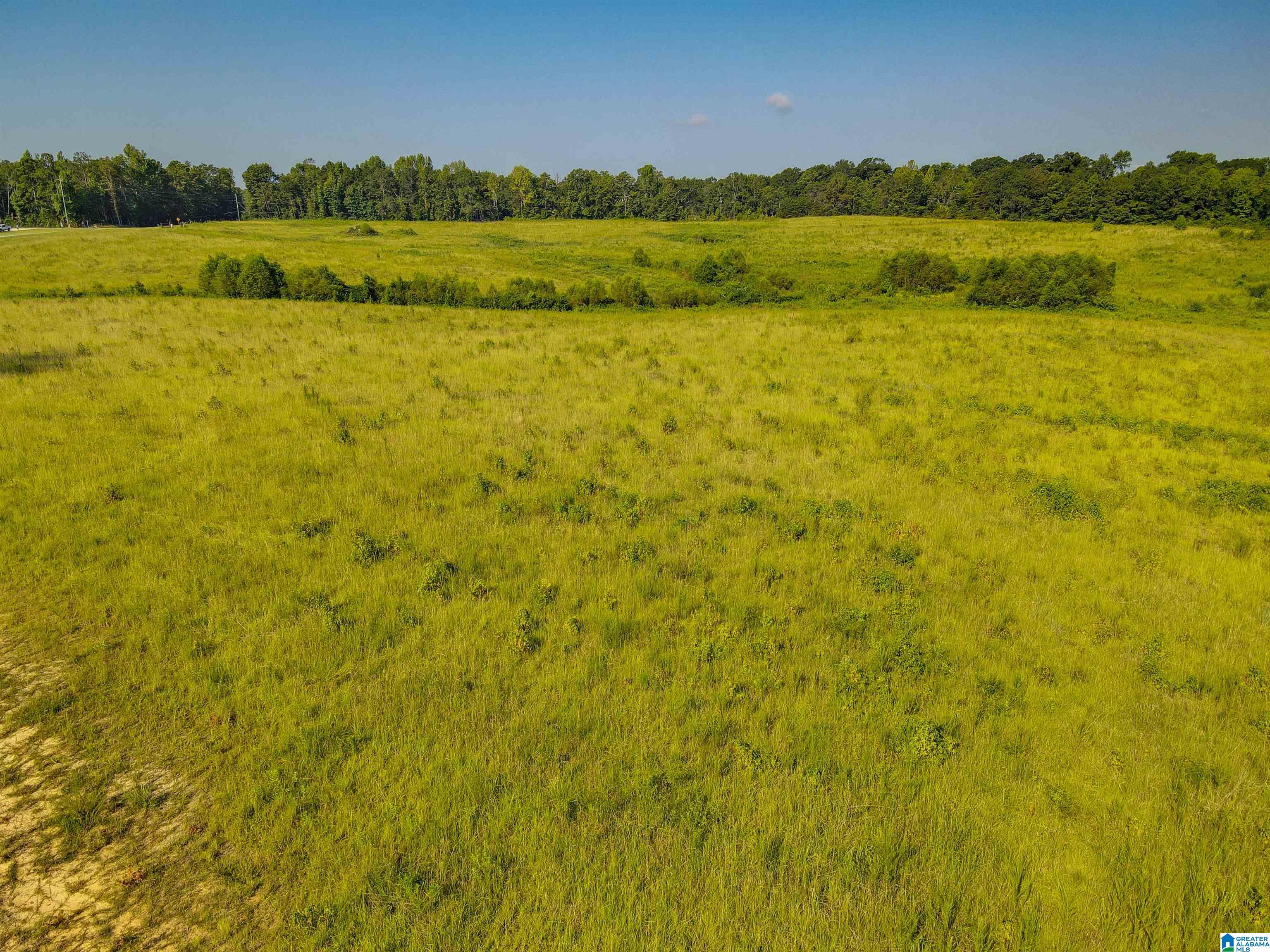 0 New Harmony Road Clanton, AL 35045 - Photo 11 of 14