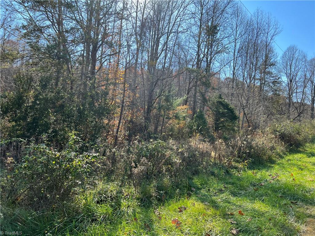 0 Greenhill Road Mount Airy, NC 27030 - Photo 1 of 5 Gallery Image 1