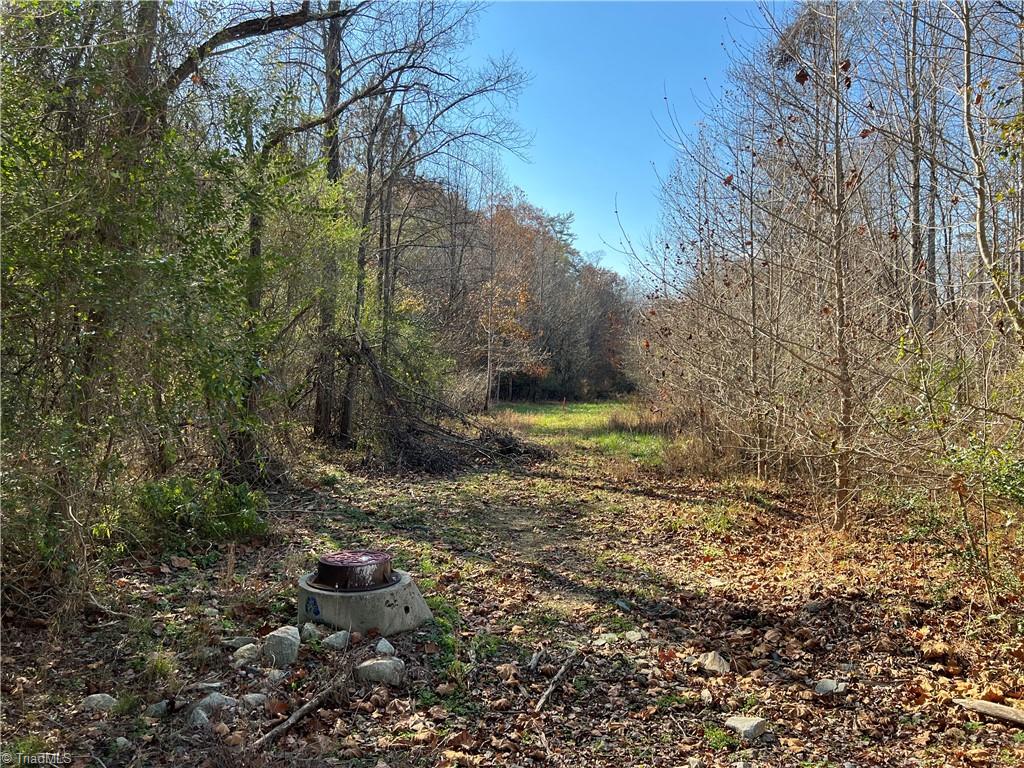 0 Greenhill Road Mount Airy, NC 27030 - Photo 4 of 5 Sewer easement