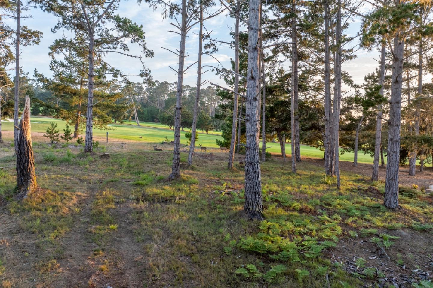 1182 The Dunes Road Pebble Beach, CA 93953 - Photo 9 of 17 Gallery Image 9
