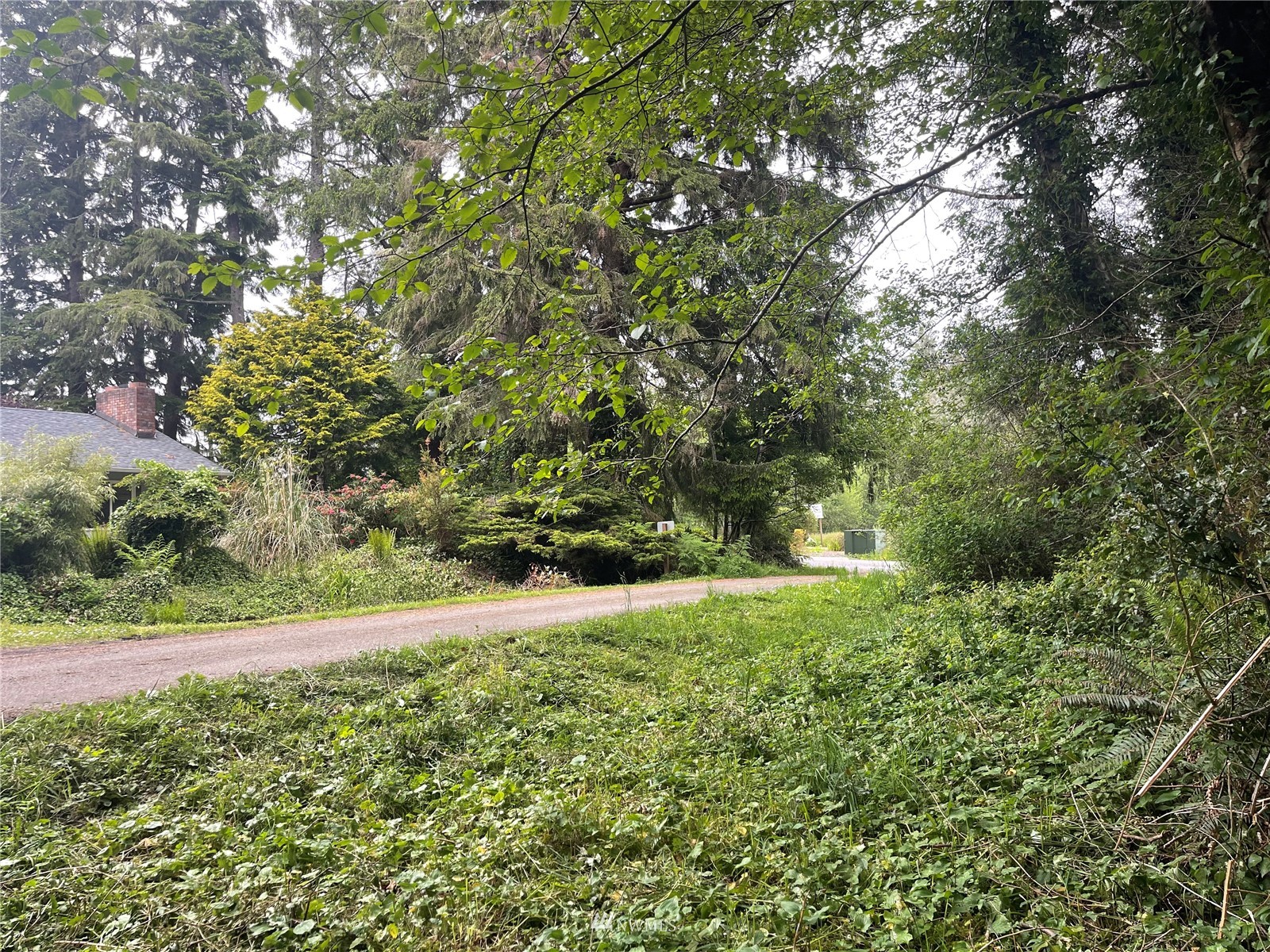 0 Willa View Road South Bend, WA 98586 - Photo 5 of 18 Gallery Image 5
