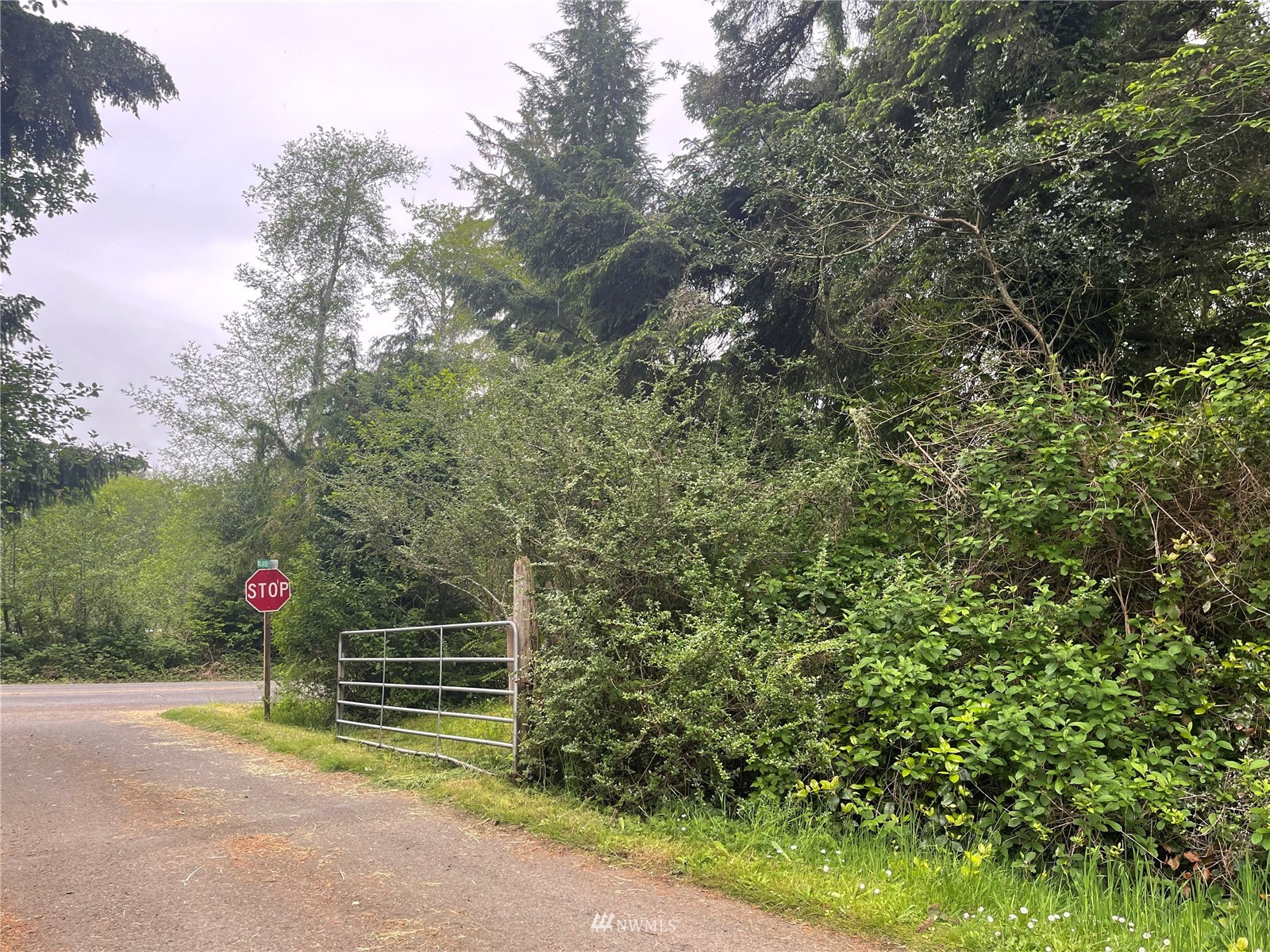 0 Willa View Road South Bend, WA 98586 - Photo 6 of 18 Gallery Image 6