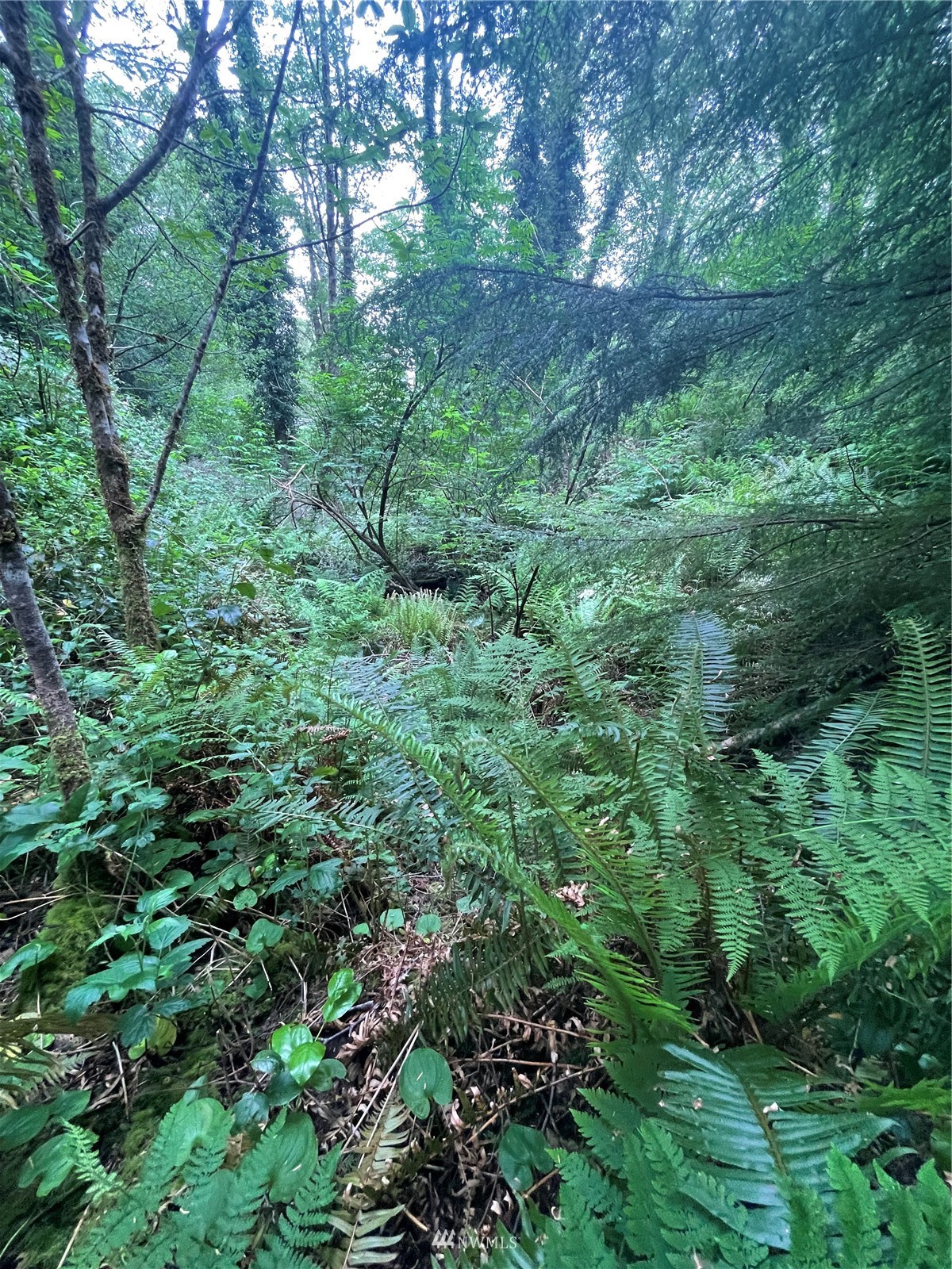 0 Willa View Road South Bend, WA 98586 - Photo 10 of 18 Gallery Image 10