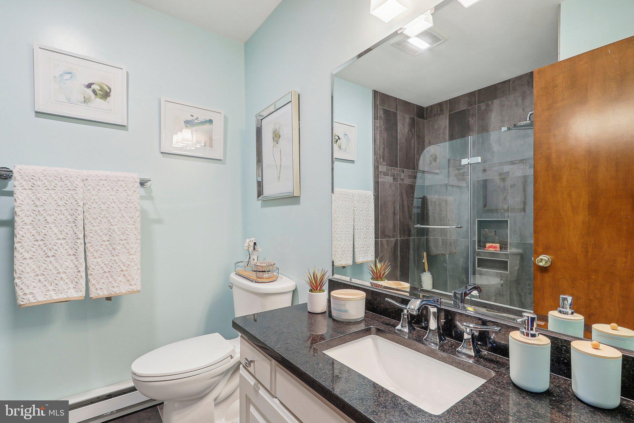 28601 Kemptown Road Mount Airy, MD 21771 - Photo 38 of 71 Upscale remodel with tiled shower and glass door!