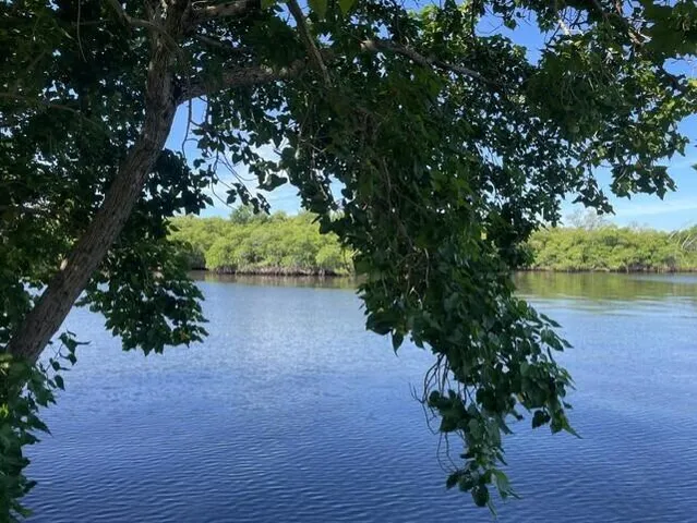 a plant that is in front of a house