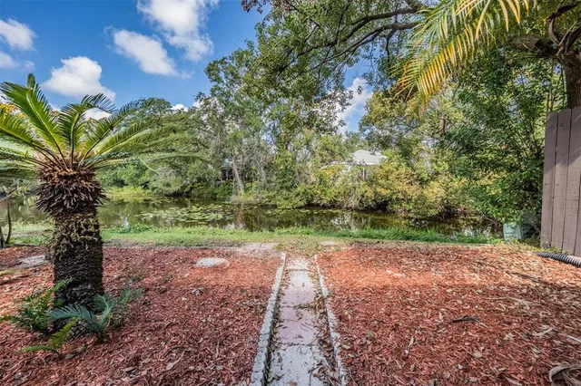 a view of a yard with plants and trees