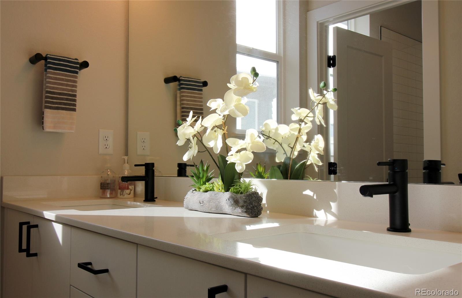 10394 Detroit Street Denver, CO 80229 - Photo 31 of 50 a close view of sink and mirror