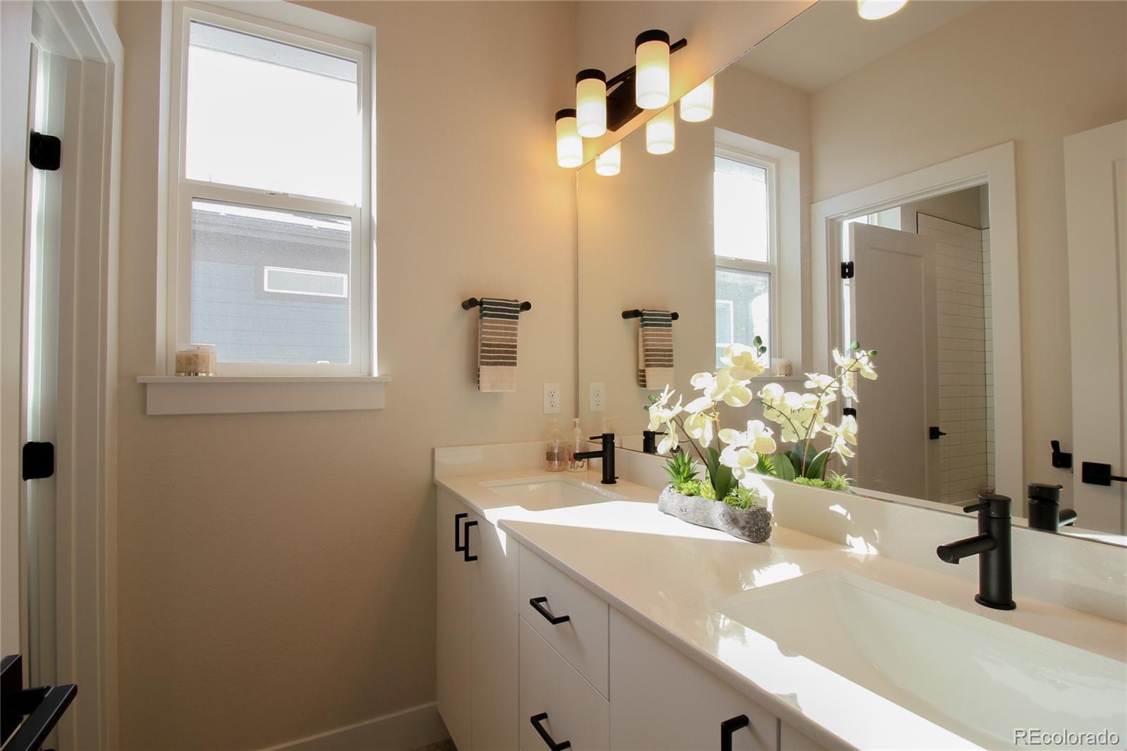10394 Detroit Street Denver, CO 80229 - Photo 41 of 50 a bathroom with a sink and a mirror